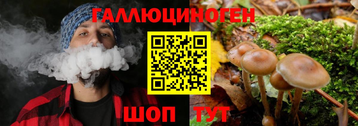 Борисоглебск  Псилоцибиновые грибы GOLDEN TEACHER  Вход с VPN 